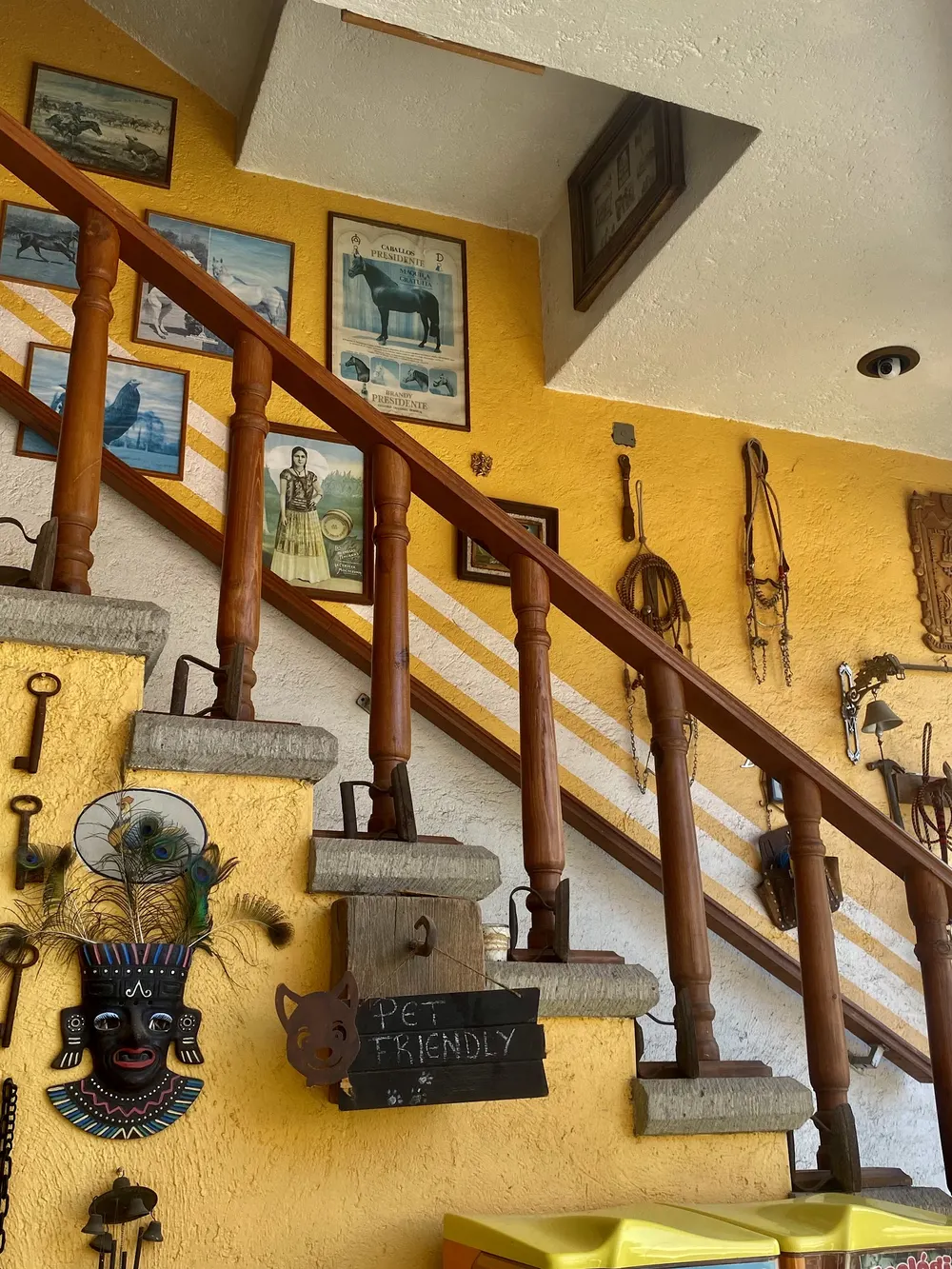 Somos pet friendly — ven con tu mascota