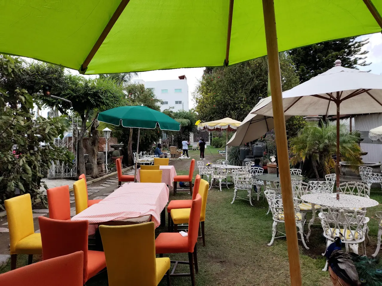 Jardín de El Gallinero con pavorreal suelto